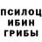 Галлюциногенные грибы GOLDEN TEACHER Sshale