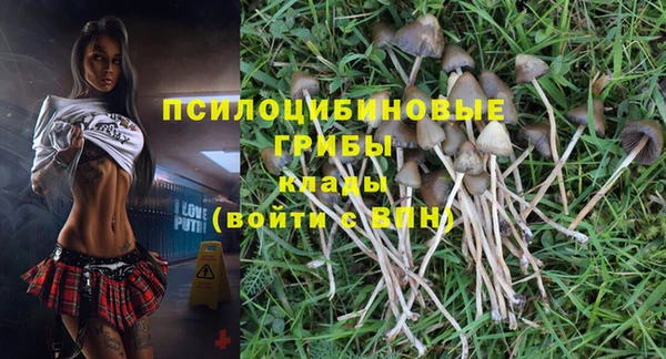 прущая мука Армянск