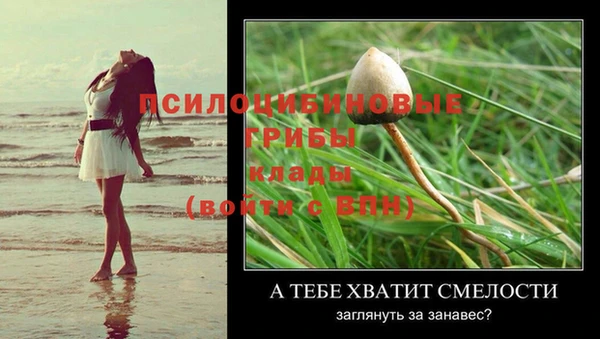 прущая мука Переславль-Залесский