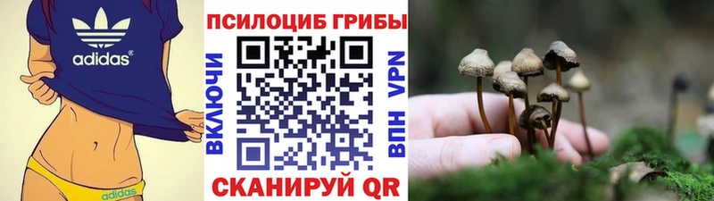 ссылка на мегу рабочий сайт  Суворов  Галлюциногенные грибы Psilocybe  купить наркотики цена 
