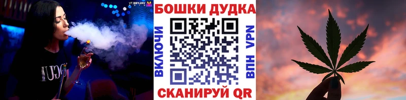 Бошки Шишки Amnesia  Суворов 